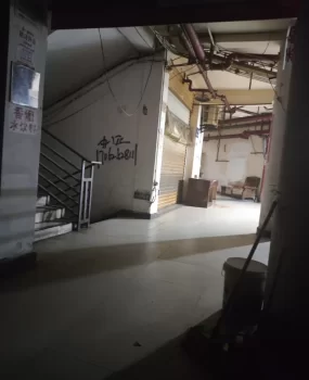 重庆发廊站街熟女