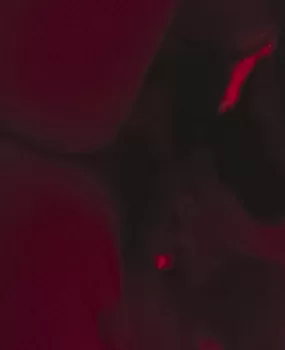 苏州风骚熟女双飞